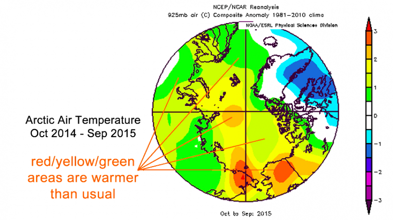 北極最熱的一年 專家警告：極端氣候只會更頻繁。（取自NOAA）