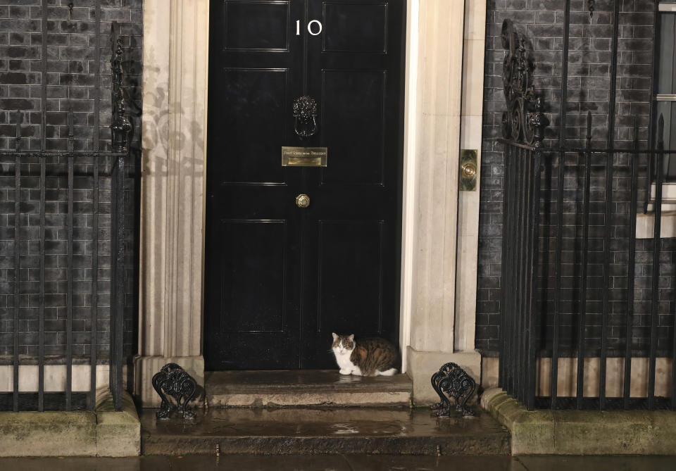 Larry the cat sits in the door of10 Downing Street, after voting closed for the 2019 General Election, Friday, Dec. 13, 2019. An exit poll in Britain's election projects that Prime Minister Boris Johnson's Conservative Party likely will win a majority of seats in Parliament. That outcome would allow Johnson to fulfill his plan to take the U.K. out of the European Union next month. (AP Photo/Vudi Xhymshiti)