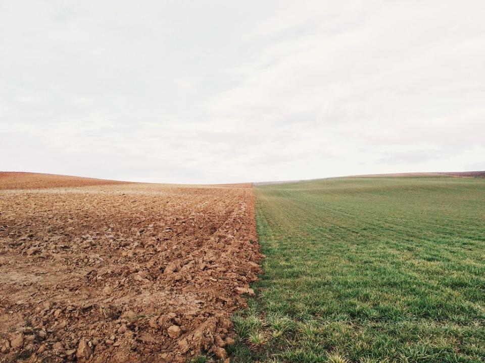根據歐盟官方數據，土壤退化所衍生的成本，每年估計超過500億歐元。圖片來源：Unsplash
