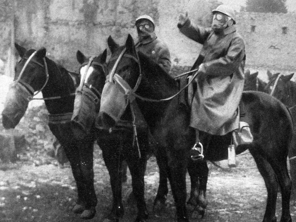 Soldiers and horses wearing gas masks during a German mustard gas attack in the First World War (Rex)