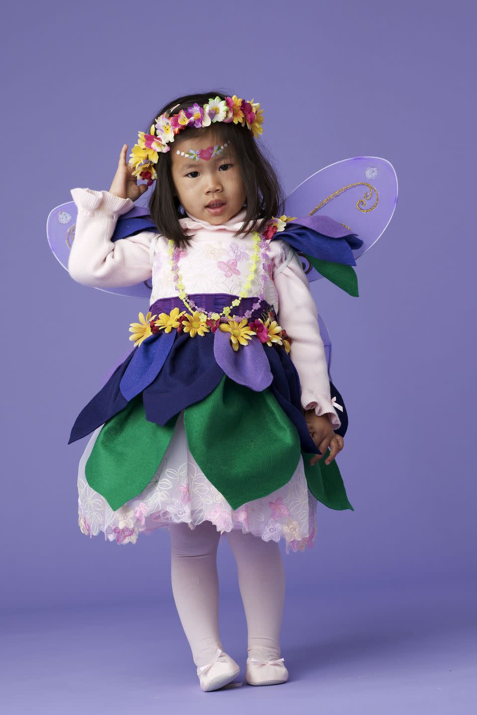 Fairy Princess Costume