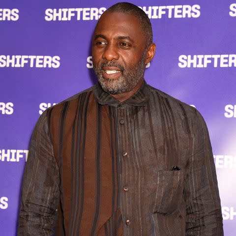 <p>Nicky J Sims/Getty</p> Idris Elba