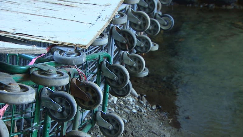 Meet the homeless man who built Abbotsford's 'amazing' shopping cart bridge