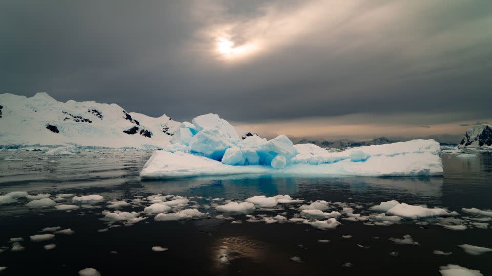 An iceberg drifts off the Antarctic Peninsula in March 2023.  - Julian Quinones/CNN