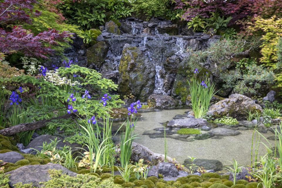 chelsea flower show 2024 sanctuary garden design