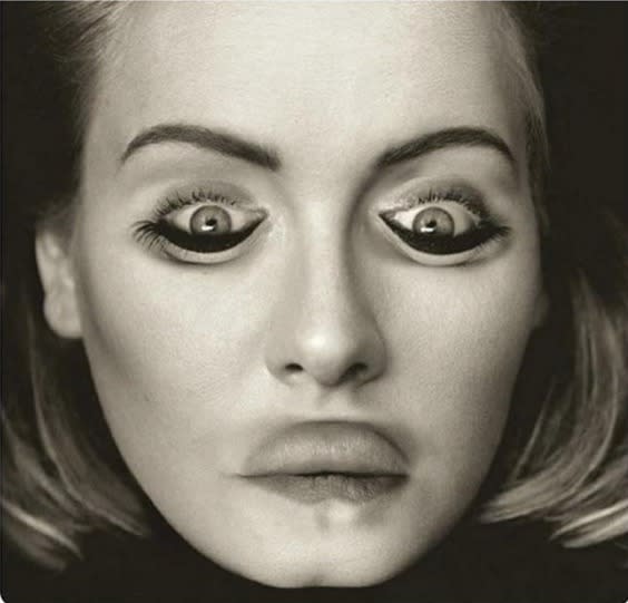 Hello__it_s_a_terrifying_upside_down_picture_of_Adele