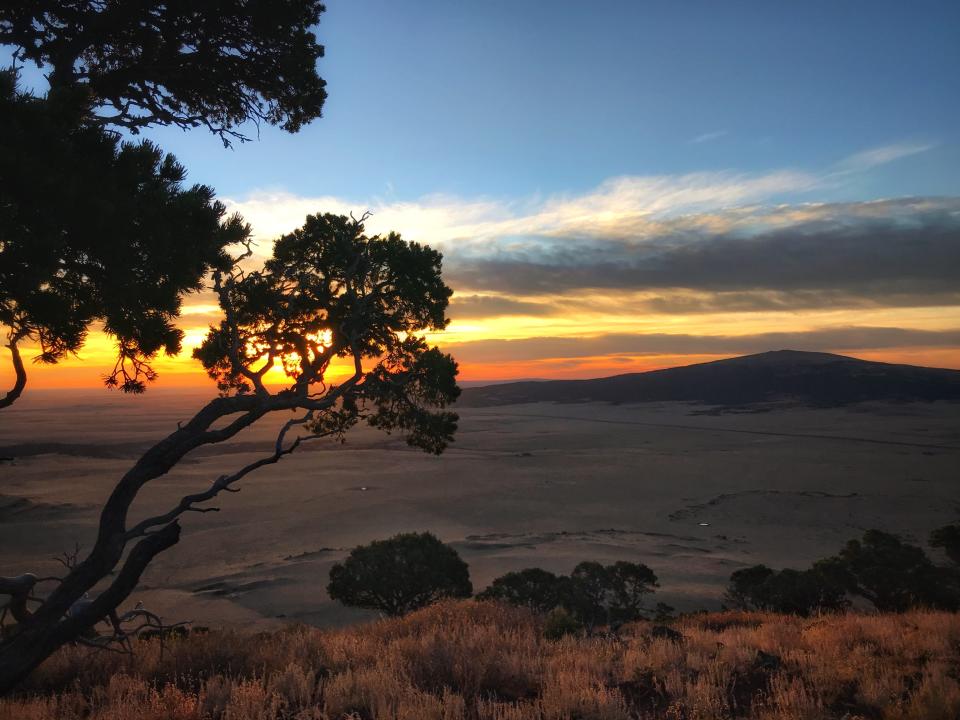 Sunset over Capulin Volcano National Monument. The volcano is a slight bump on the horizon line, and a scraggly tree sits in the foreground, backlit against the blue, yellow and orange sky.