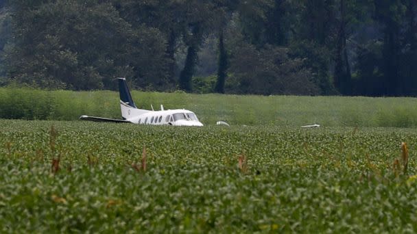 PHOTO: A stolen airplane rests in a field of soybeans after crash-landing near Ripley, Miss., Sept. 3, 2022.  (Nikki Boertman/AP)