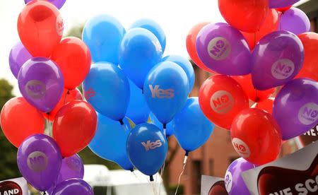 'Yes' and 'No' campaigners hold balloons after a 'No' campaign rally in Glasgow, Scotland September 17, 2014. REUTERS/Dylan Martinez