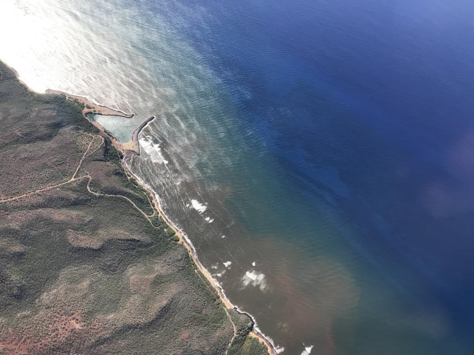 In this undated 2020 aerial photo provided by the Arizona State University's Global Airborne Observatory, runoff from the island of Molokai in Hawaii is shown flowing into the ocean. Axis deer, a species native to India that were presented as a gift from Hong Kong to the king of Hawaii in 1868, have fed hunters and their families on the rural island of Molokai for generations. But for the community of about 7,500 people where self-sustainability is a way of life, the invasive deer are a cherished food source but also a danger to the island ecosystem. Now, the proliferation of the non-native deer and drought on Molokai have brought the problem into focus. Hundreds of deer have died from starvation, stretching thin the island's limited resources. When deer devour fruits, vegetables and other plants, it leads to to erosion and runoff into the ocean that alters the island's coral reef— another important food source. (Global Airborne Observatory, Arizona State University via AP)