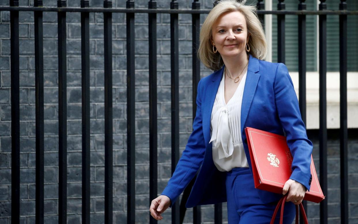 Britain's Secretary of State of International Trade Liz Truss  -  REUTERS