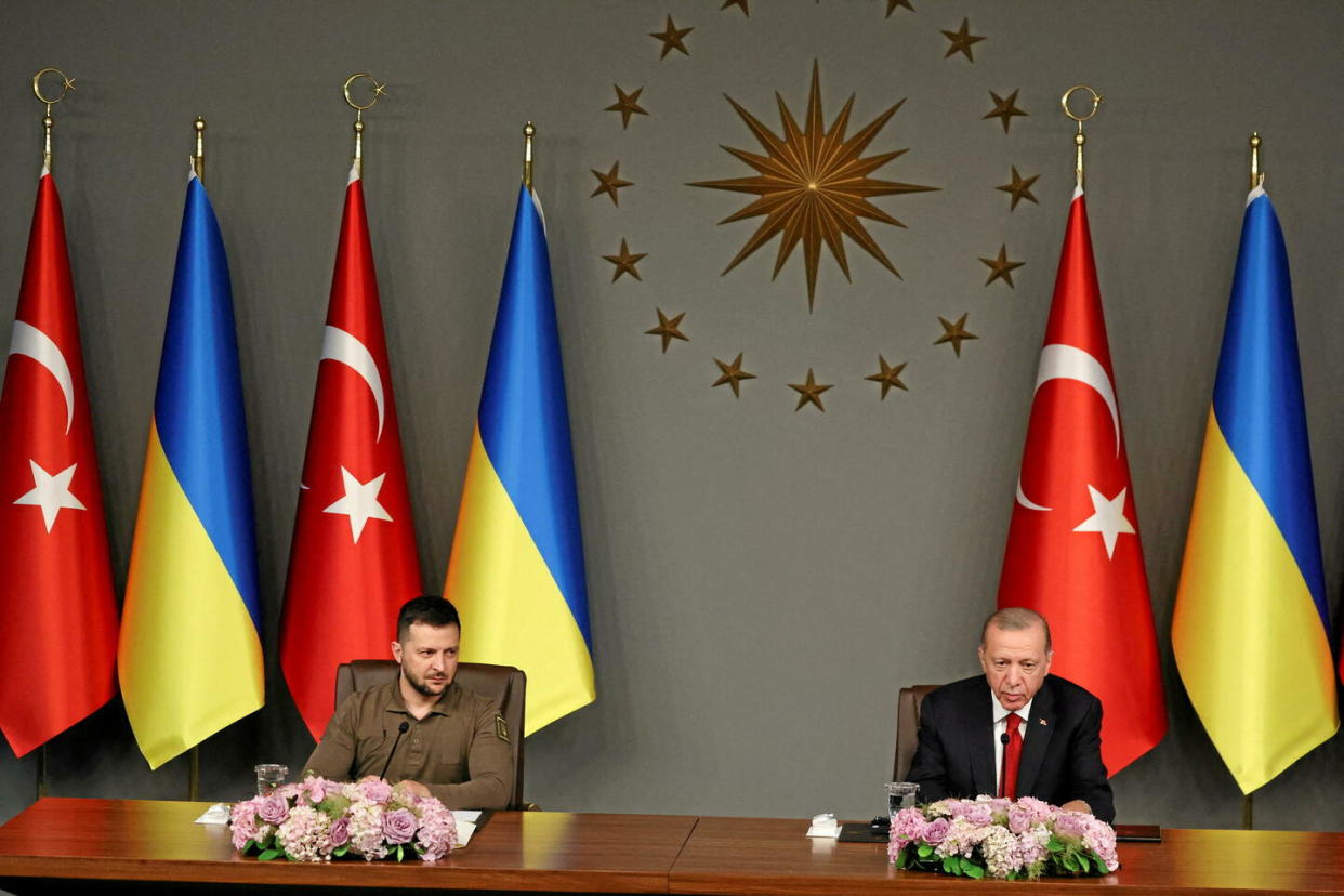 Recep Tayyip Erdogan et Volodymyr Zelenskiy à Istanbul en juillet 2023.  - Credit:Umit Bektas/Reuters