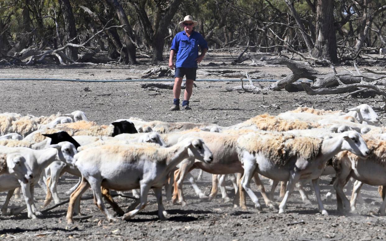 Australia's scorching start to 2019 saw the mean temperature across the country exceed 30 degrees Celsius for the first time - AAP