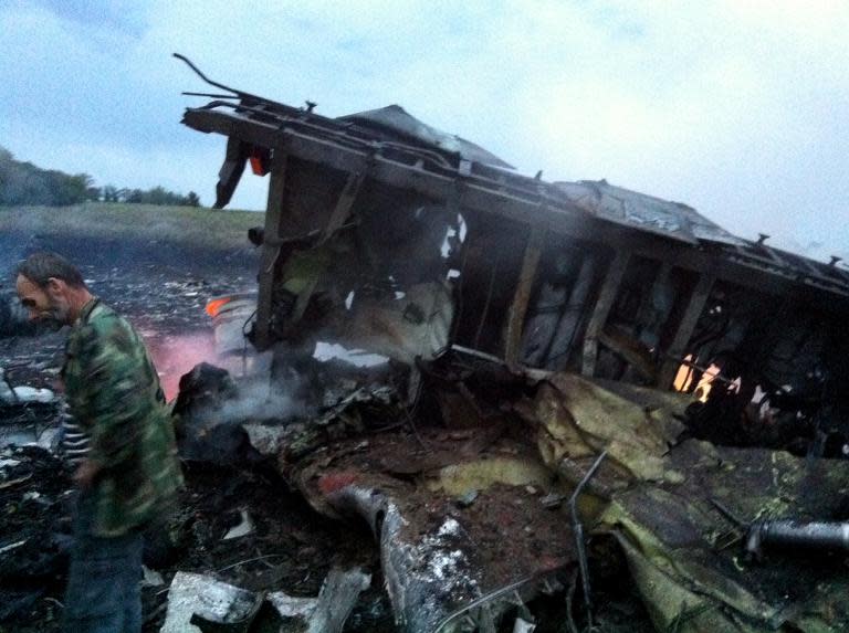 A man stands next to the wreckage of a Malaysia Airlines plane carrying 295 people from Amsterdam to Kuala Lumpur after it crashed, in rebel-held east Ukraine, on July 17, 2014