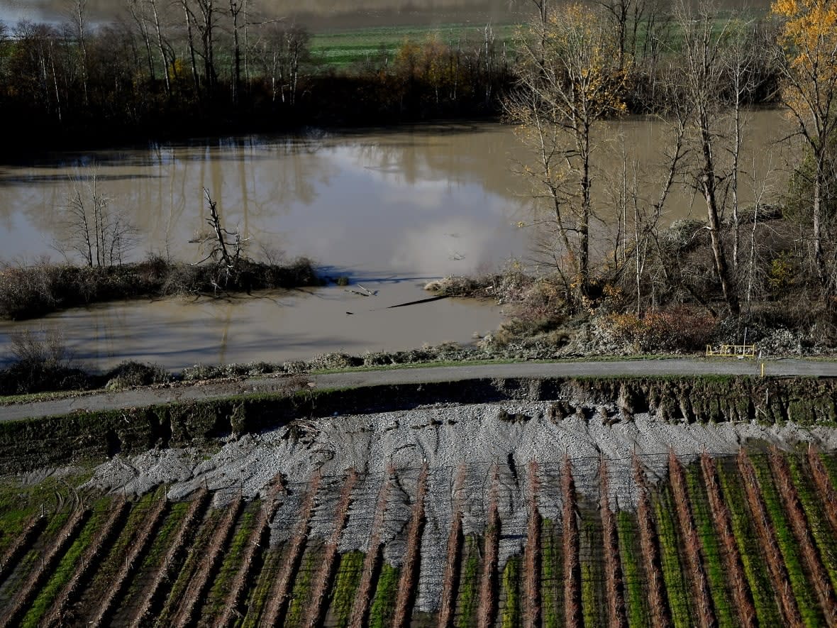 Erosion of a dike is seen on a field after rainstorms lashed B.C., triggering landslides and floods and shutting highways, in Abbotsford, east of Vancouver, on Nov. 19. (Jennifer Gauthier/Reuters - image credit)