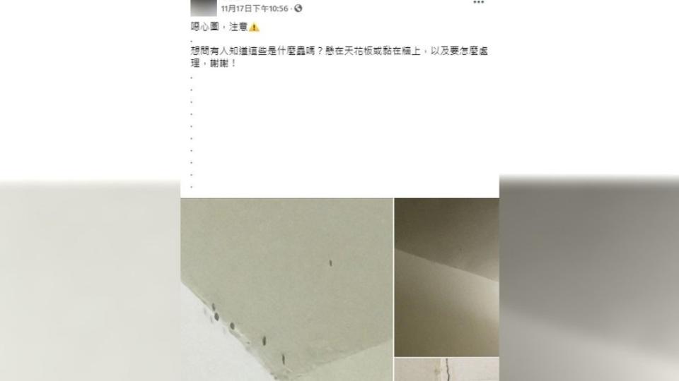 男子貼出照片詢問「懸在天花板的蟲」是什麼。（圖／翻攝自「爆系知識家」）