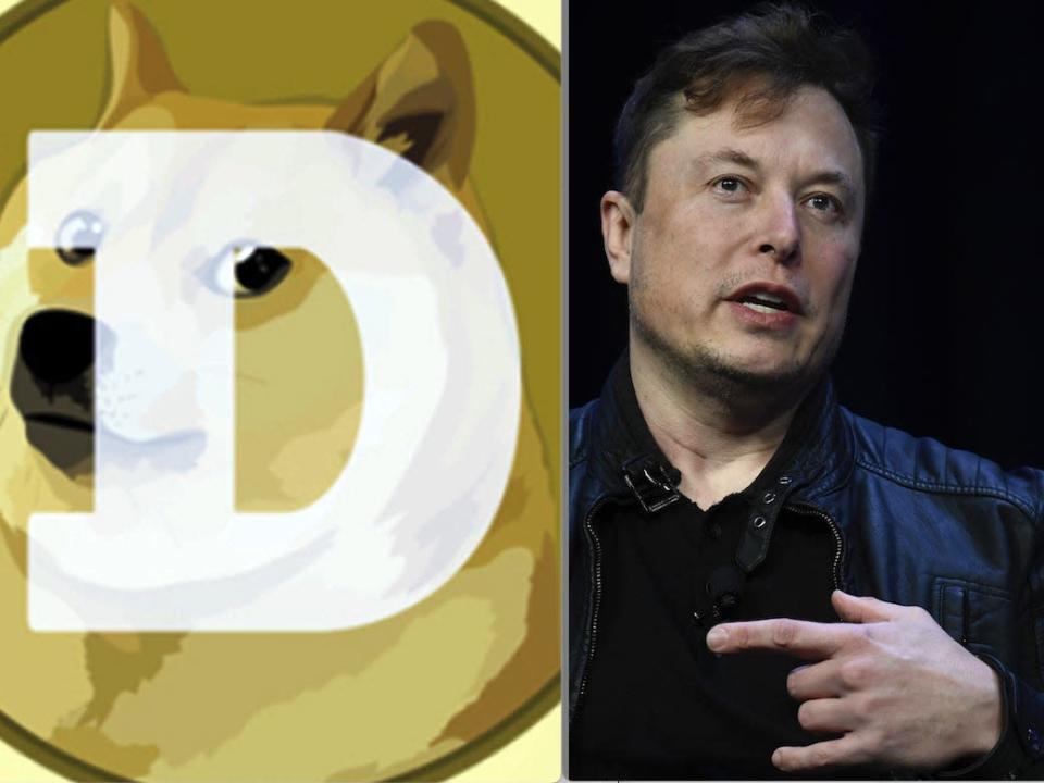 Elon Musk disses Jackson Palmer
