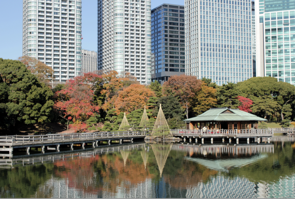 濱離宮恩賜庭園    圖：東京觀光事務所台灣辦事處/提供