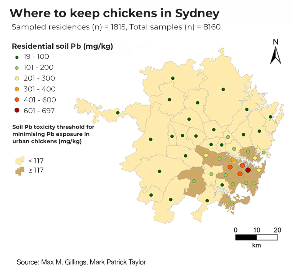 Levels of lead risk for backyard chickens across Sydney. Dark green dots indicate areas with safe lead levels. Light green and yellow dots are areas over the safe lead level. Orange and red dots indicate areas with high levels. Map: Max M. Gillings, Mark Patrick Taylor, Author provided