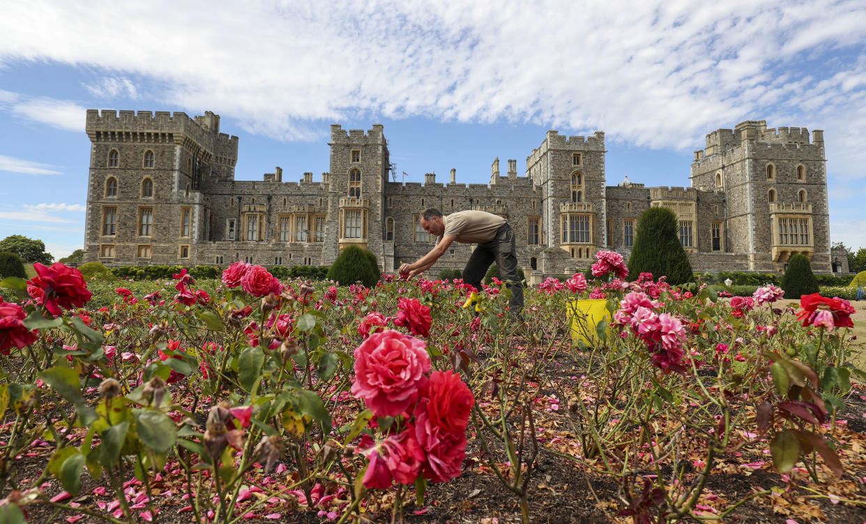 Final preparations are made ahead of Windsor Castle's East Terrace Garden opening to the public for the first time in decades from Saturday. (Photo by Steve Parsons/PA Images via Getty Images)