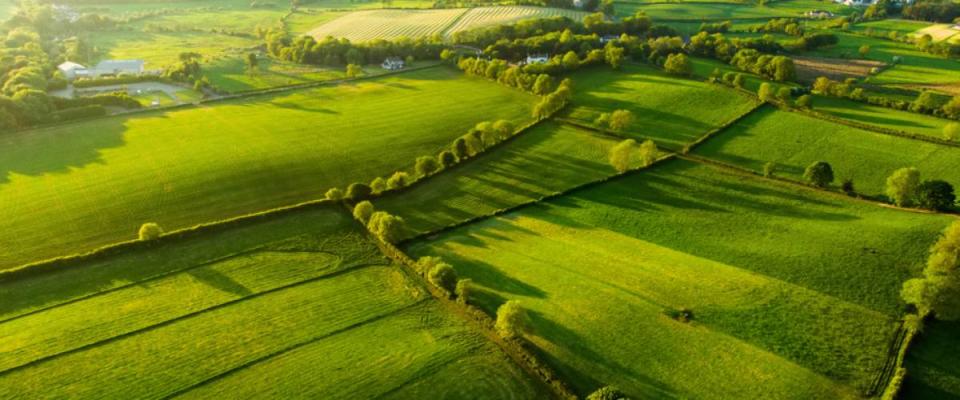 Aerial view of endless lush pastures and farmlands.