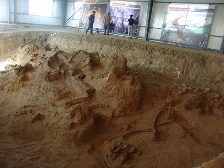 One of the four quarries producing fossils of Lingwulong, a newly discovered dinosaur unearthed in northwestern China is seen in this image provided July 24, 2018. Xu Xing/Handout via REUTERS