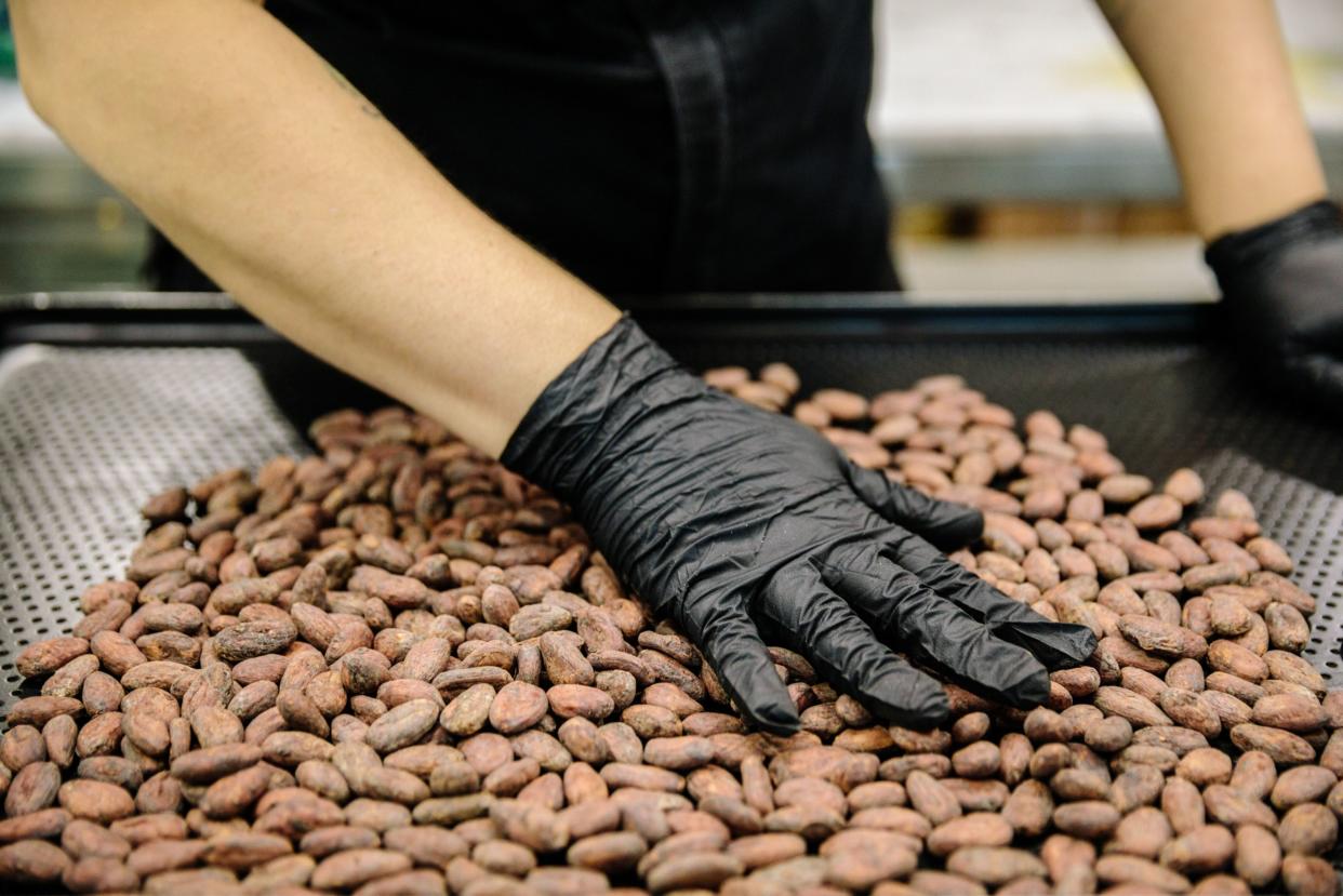 Cocoa beans