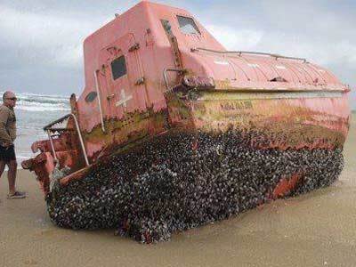 <p>Ghost boat washes up on SA beach</p>