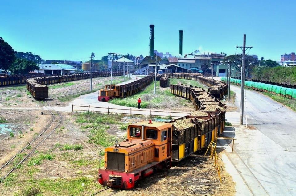 虎尾糖廠載運甘蔗的小火車（五分車）至今還在作業，每年冬季，五分車穿梭在雲林縣街巷、田野間已形成在地限定美景。圖：五分車載運甘蔗入廠／台糖官網