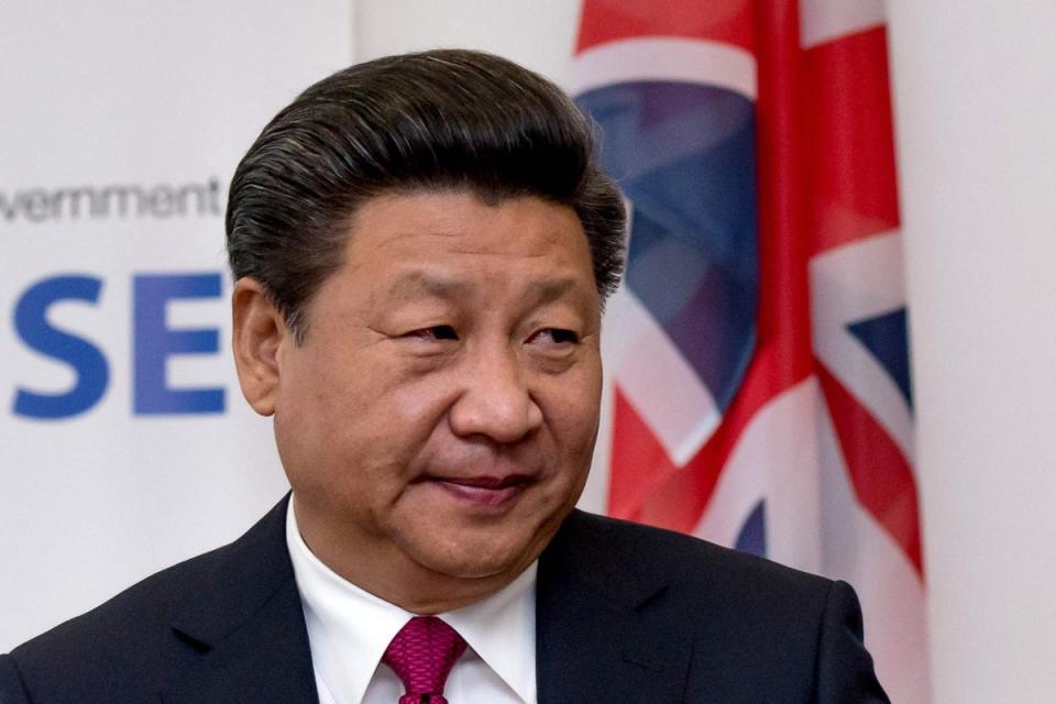 Xi Jinping is at the G20 in Indonesia (Richard Stonehouse/PA) (PA Archive)