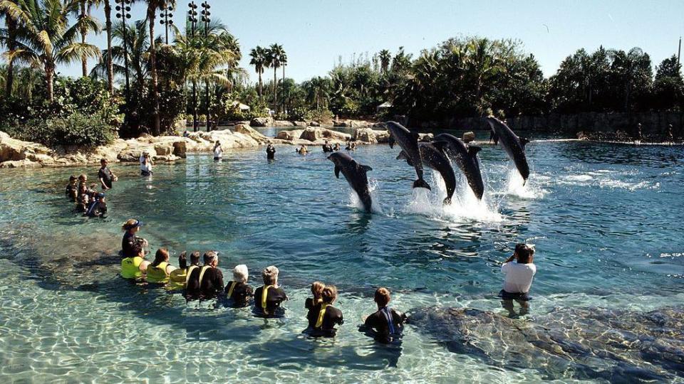 Discovery Cove Florida