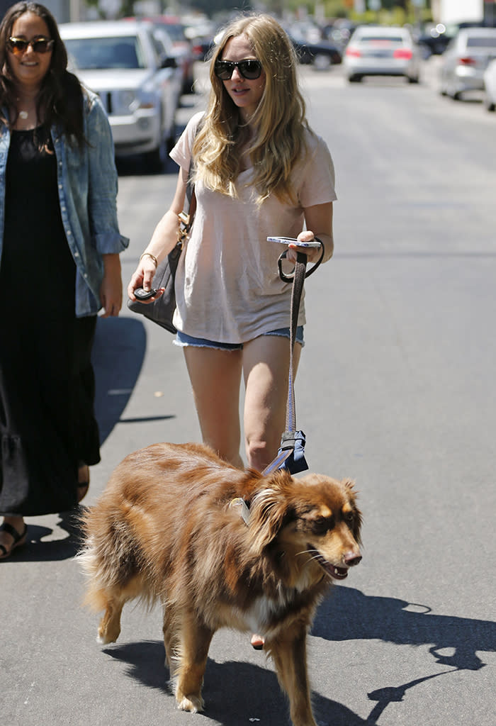 Amanda Seyfried leaves the Kings Road Cafe with her dog in West Hollywood