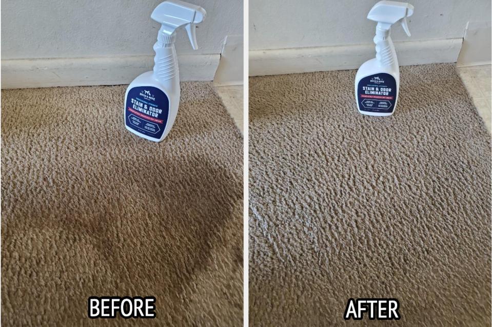 A before and after of a carpet that was covered in all sorts of urine stains, with the after photo looking super clean with zero stains left