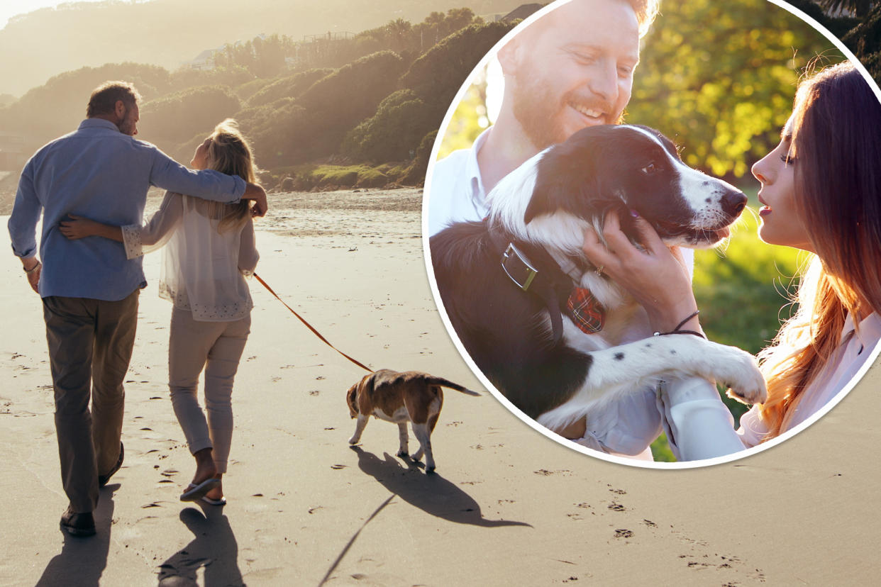 A man and woman walking their dog on a beach, discussing shared pet custody