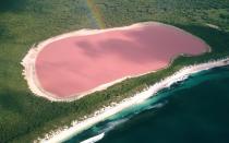 <p>The pink color of this lake comes from its high salt content and the organisms living inside of it: algae and little dudes called halobacteria.</p>