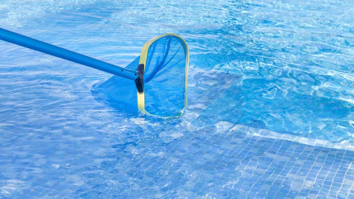 A close up of a net skimming a swimming pool.