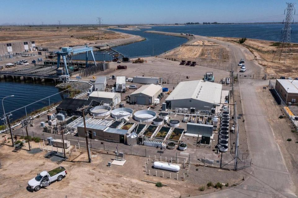 An aerial view shows the UC Davis Fish Conservation and Culture Laboratory located at the mouth of the California Aqueduct in Discovery Bay. The lab has several tanks where they raise endangered Delta smelt fish.