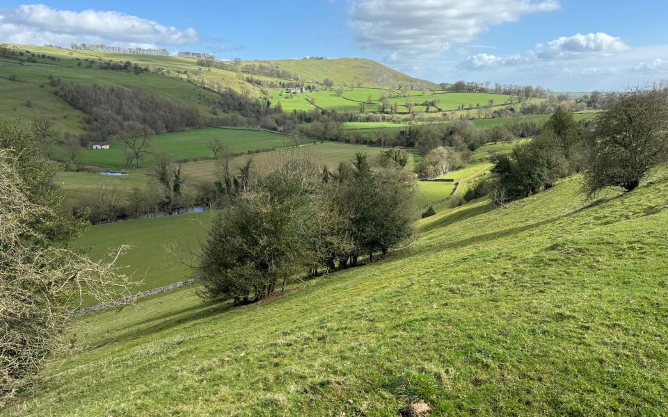 Grassy meadows and hills set an alpine-esque scene