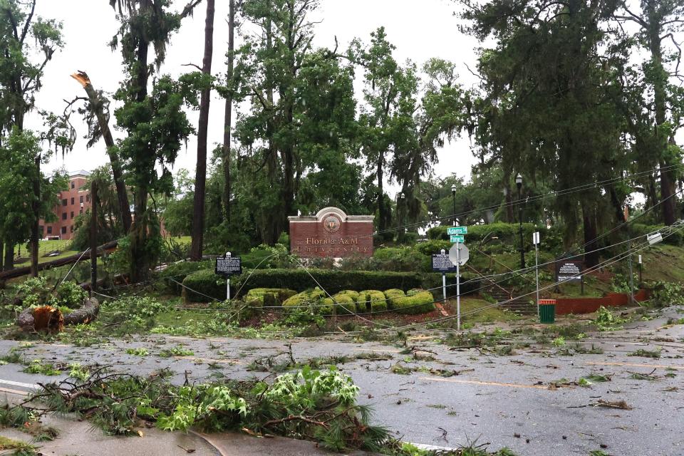 Downed trees and powerlines in front of FAMU after severe storms and a suspected tornado hit Tallahassee Friday morning.