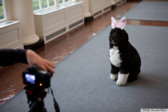 bo obama easter