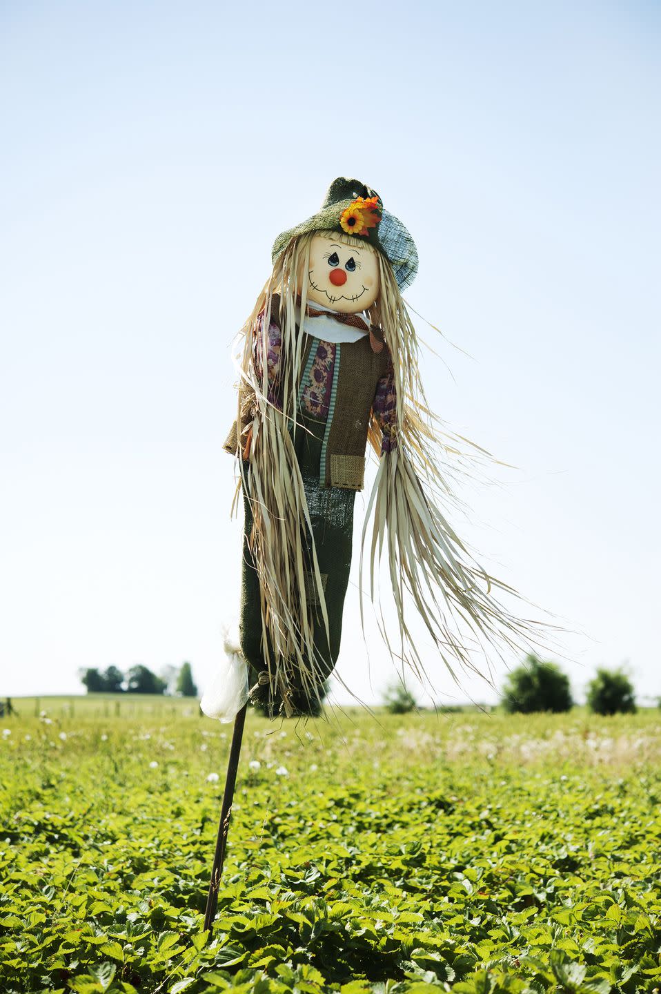 Scarecrow