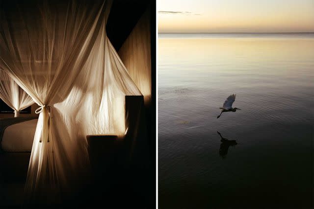 <p>Michael Turek</p> From left: At Sussurro, a boutique hotel on the Mozambique mainland, most furnishings were created on site; an egret flies over the Indian Ocean at sundown.