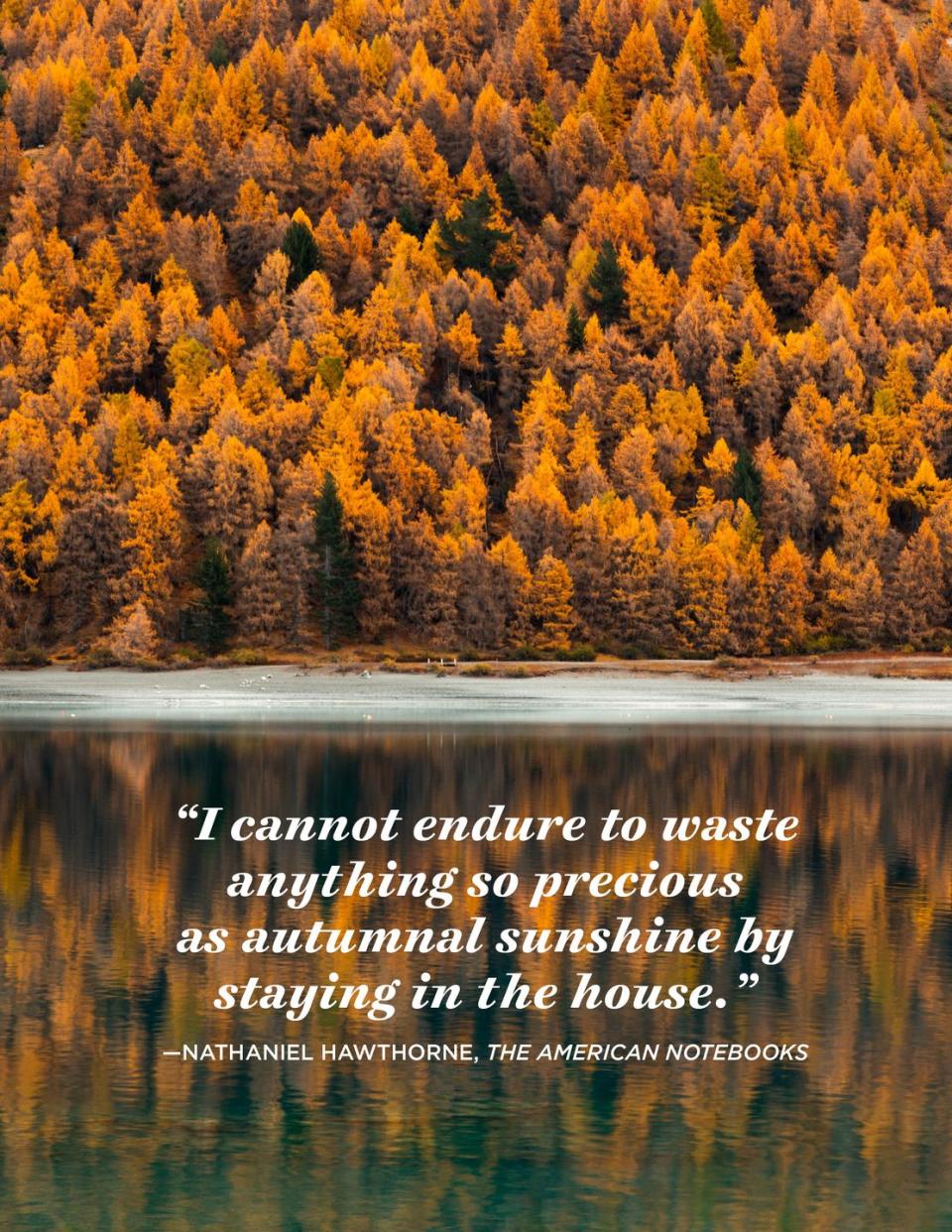 <p>“I cannot endure to waste anything so precious as autumnal sunshine by staying in the house."</p>