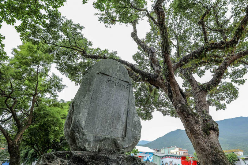 吉野拓地開村記念碑及200年歷史的樟樹，佇立在此見證歷史。（圖／林士傑攝）