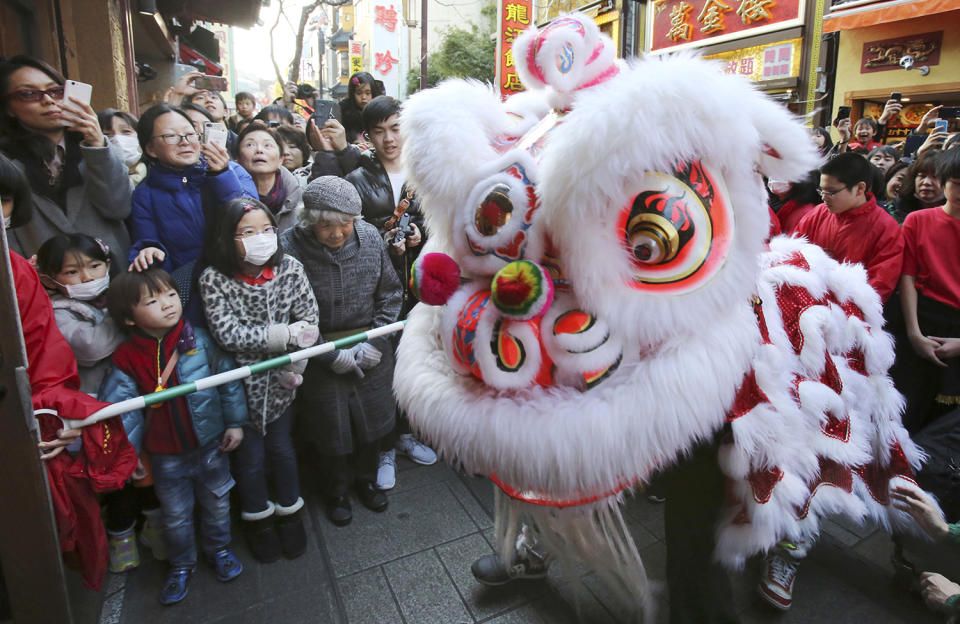 Chinese lion dancers draw attention from onlookers as they celebrate a Chinese Lunar New Year parading through Chinatown in Yokohama, near Tokyo, Saturday, Jan. 28, 2017. This year marks the Year of the Rooster in the Chinese zodiac. (AP Photo/Koji Sasahara)