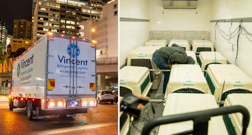 A freezer truck (left) and the crates inside the truck (right)