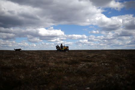 Sami reindeer herder Nils Mathis Sara, 60, drives his ATV across the Finnmark Plateau, Norway, June 16, 2018. REUTERS/Stoyan Nenov/Files