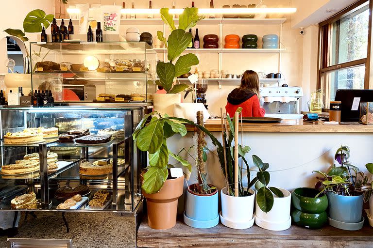 Cactus, suculentas, plantines, aromáticas y ramos. Diferentes son las variedades que se comercializan en estos locales. Se trata de un 2x1. El desayuno o la compra del pan para el almuerzo del domingo son acompañados por la elección de flores para decorar la mesa o de una macetita, para ser trasplantada por la tarde