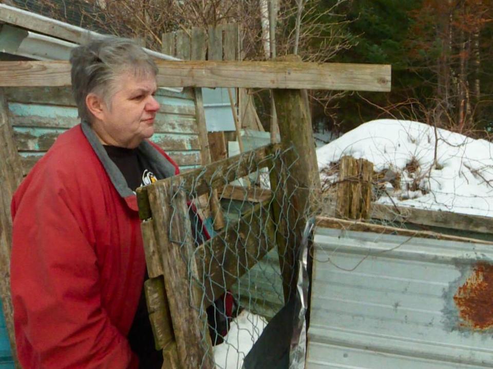 Judy Pike of Portland, N.L., stands near the pen she and her husband secured for her late son's pet ducks. She said minks killed all the ducks earlier this month. (Troy Turner/CBC - image credit)