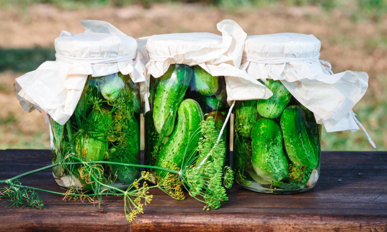 <span>Cucumbers (as well as courgettes and beetroot) are ideal for pickling.</span><span>Photograph: Przemyslaw Klos/Alamy</span>